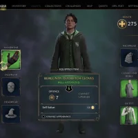 Hogwarts Legacy #19508