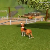 Dog's Life #27845