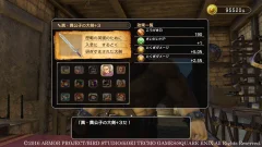 Screenshot Dragon Quest Heroes II