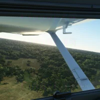 Microsoft Flight Simulator #14689