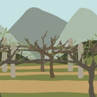 The Wine Story #31814
