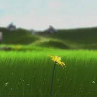 Flower #36762