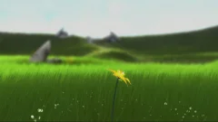 Screenshot Flower