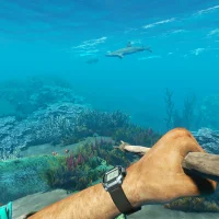 Stranded Deep #31025