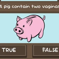 The Pig Quiz #32314