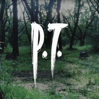 Silent Hills #13785