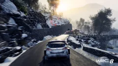 Screenshot WRC 8