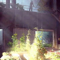 State of Decay 2 #8437