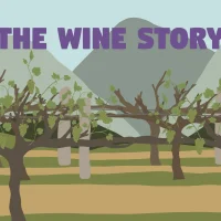 The Wine Story #31805