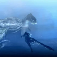 Monster Hunter Tri #25727