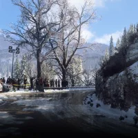 DiRT Rally 2.0 #14190