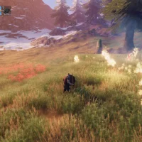 Valheim #32384