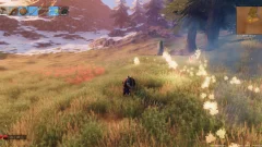 Screenshot Valheim