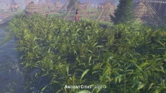 Screenshot Ancient Cities