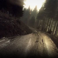 DiRT Rally 2.0 #14194