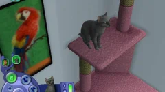 Screenshot The Sims 2: Pets