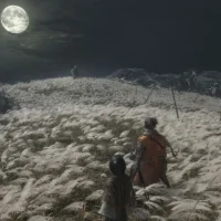 Sekiro: Shadows Die Twice #13386