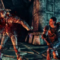 Dragon Age: Origins - Awakening #25233
