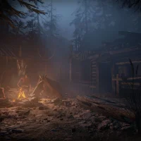 Outlast II #9311