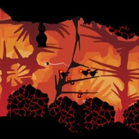 Forma.8 #38855