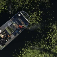 Grand Theft Auto VI #35847