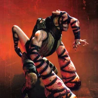 Silent Hill Homecoming #14848