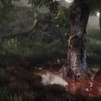 The Vanishing of Ethan Carter #13793