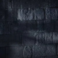 Baldur's Gate III #13621