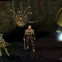 Neverwinter Nights: Enhanced Edition #34598