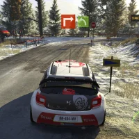 WRC 5 #1319