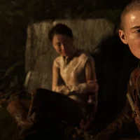 The Last of Us Part II #13676