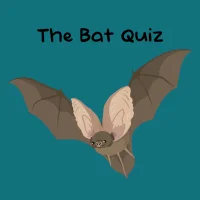 The Bat Quiz #31655
