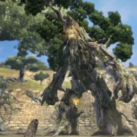 Dragon's Dogma Online #309