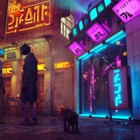 Stray #20805