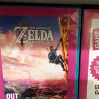 The Legend of Zelda: Breath of the Wild #8214