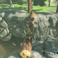 The Legend of Zelda: Breath of the Wild #8687