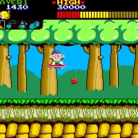 Wonder Boy Collection #24059