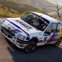 DiRT 4 #9936