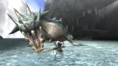 Screenshot Monster Hunter Tri