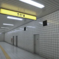 The Exit 8 #23535