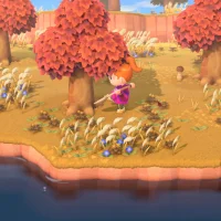 Animal Crossing: New Horizons #14467