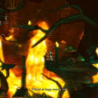 Trine #39790