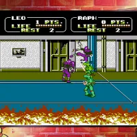 Teenage Mutant Ninja Turtles: The Cowabunga Collection #38983