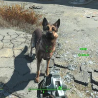 Fallout 4 #1771