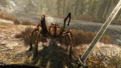 Screenshot The Elder Scrolls: Skyrim VR