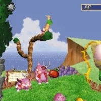 Tomba! #25058