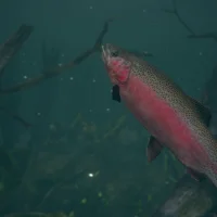 Ultimate Fishing Simulator 2 #21213
