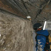 STEEP #7581