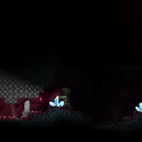 Starbound #23594