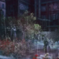 Rain #19542